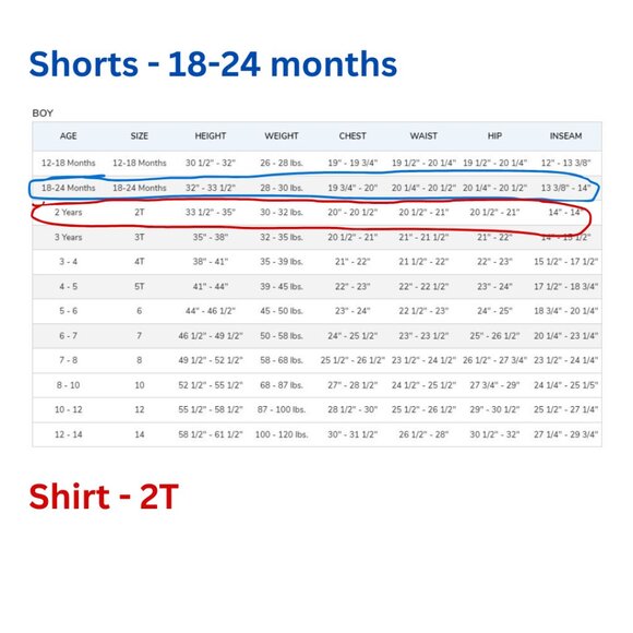 Gymboree Swim Suit Boys 2T Rash Guard Board Shorts 18-24 Dinosaur Blue Green - Picture 14 of 15